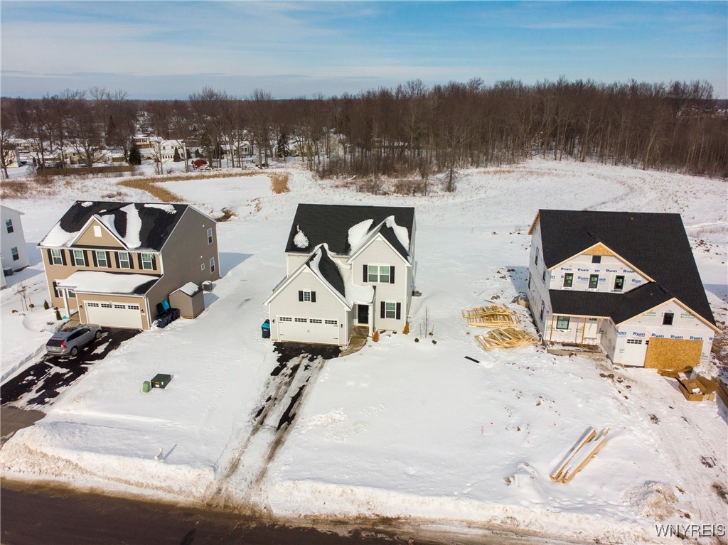 523 Limestone Court, Grand Island, New York image 32