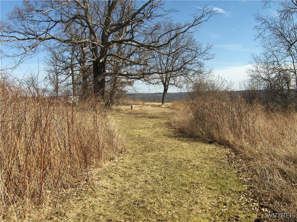 5509 Barber Hill Road, Groveland, New York image 14