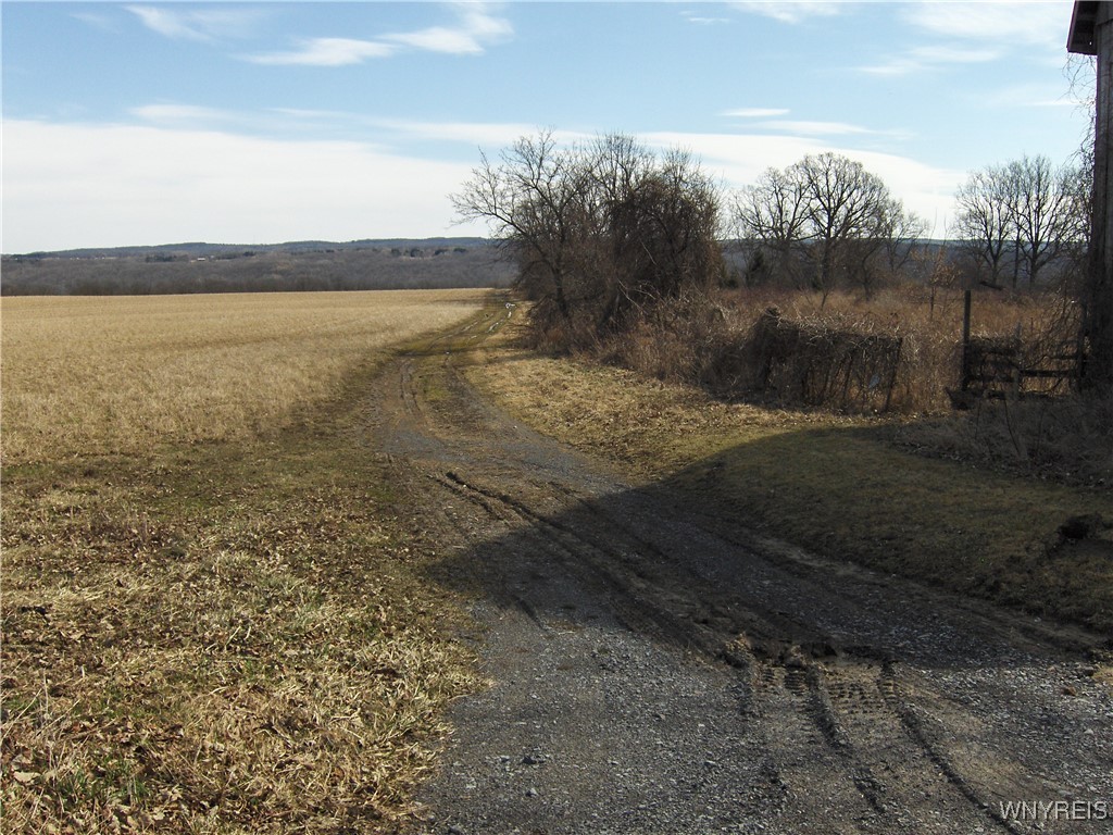 5509 Barber Hill Road, Groveland, New York image 1