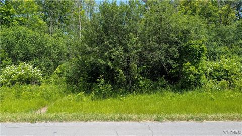 Vacant Land For Sale - 981 Swann Road<br/> Lewiston, NY 14174