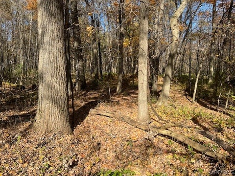 Photo for Lot 1 Armor Duells Road