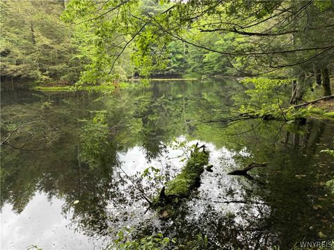 Vacant Land For Sale - 2741 Smith Hollow Road<br/> Hinsdale, NY 14760