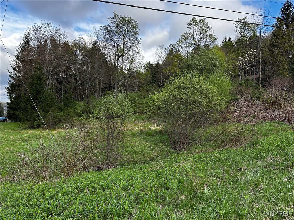 1A Bella Vista Drive, Ellicottville, New York image 27