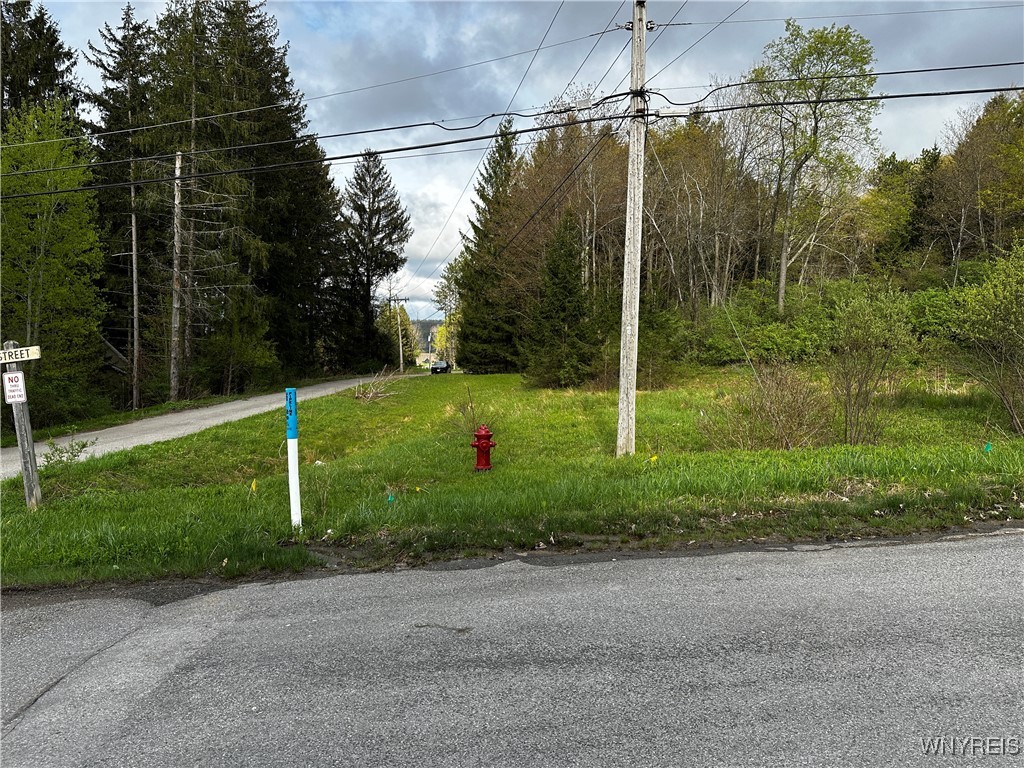 1A Bella Vista Drive, Ellicottville, New York image 16