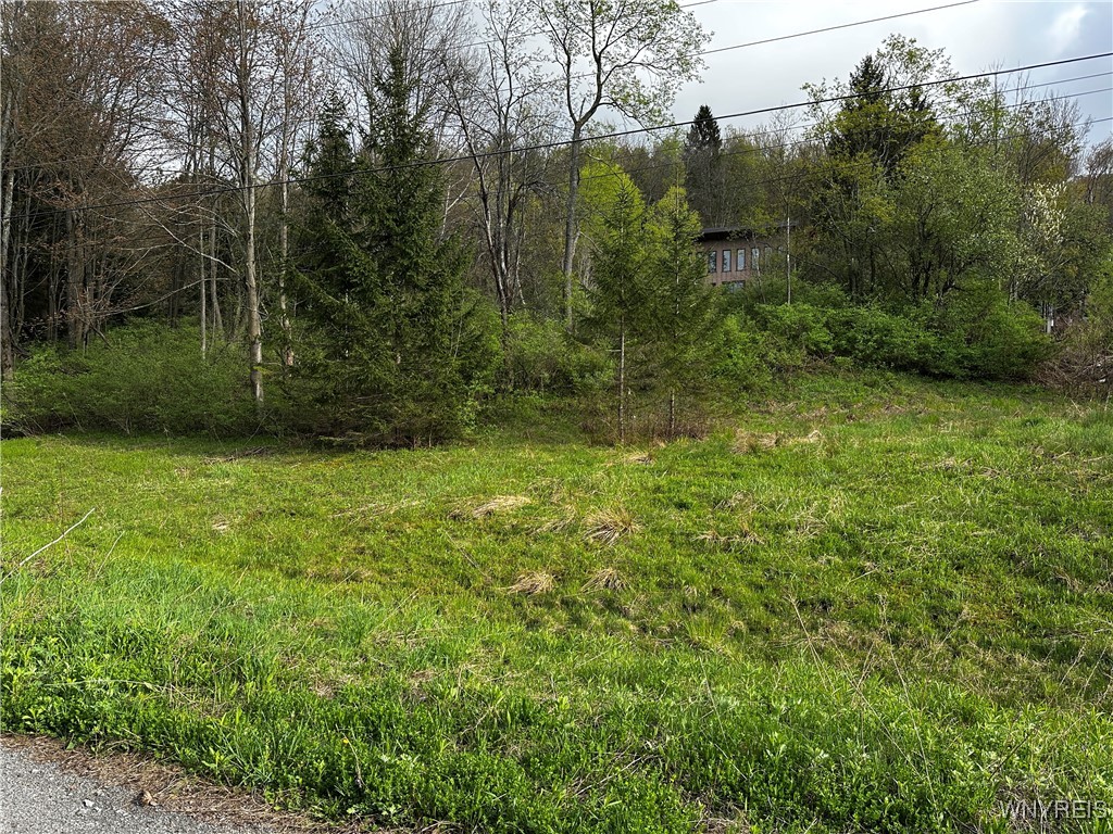 1A Bella Vista Drive, Ellicottville, New York image 12
