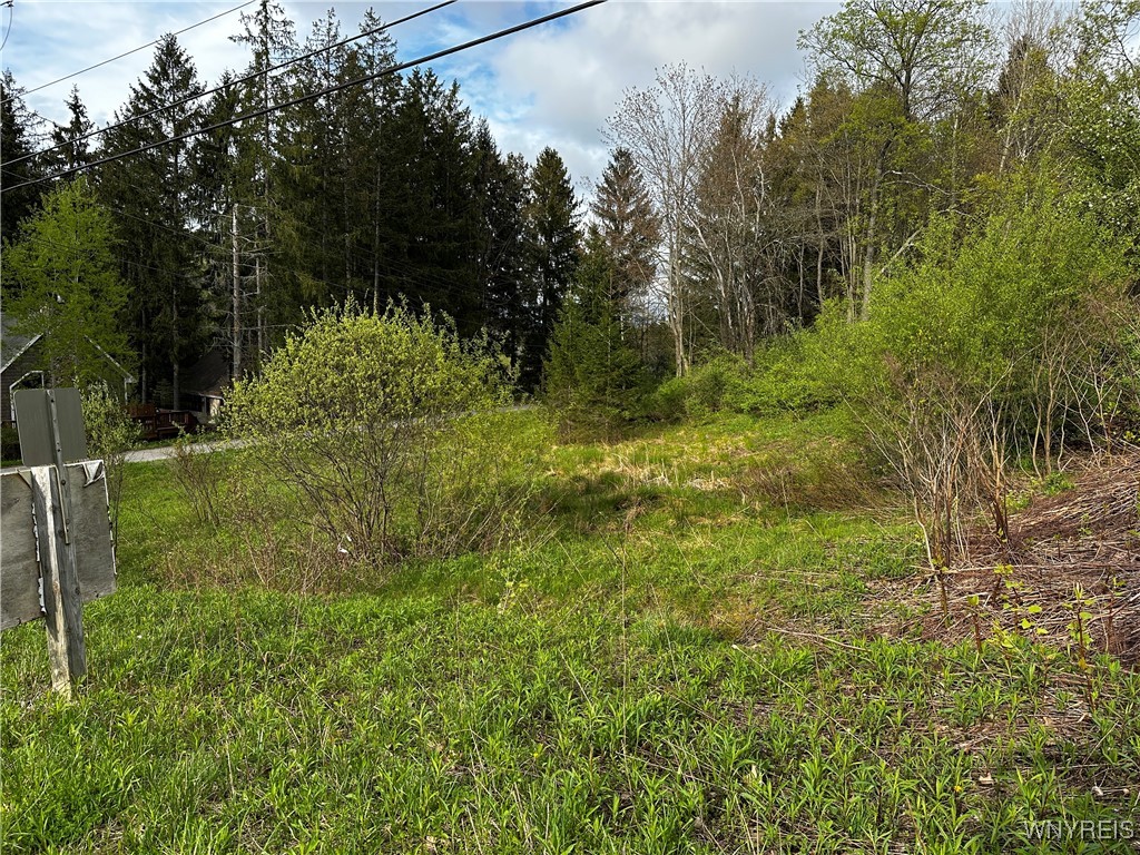 1A Bella Vista Drive, Ellicottville, New York image 22