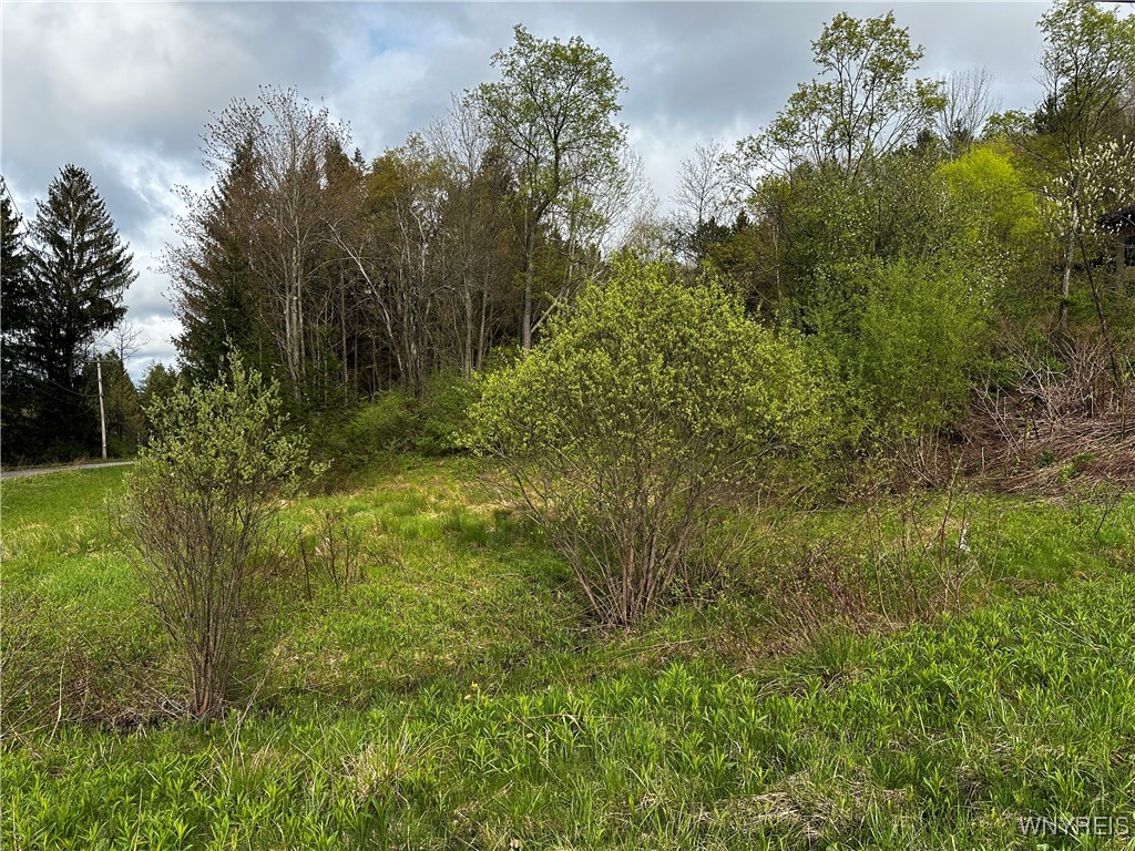1A Bella Vista Drive, Ellicottville, New York image 25