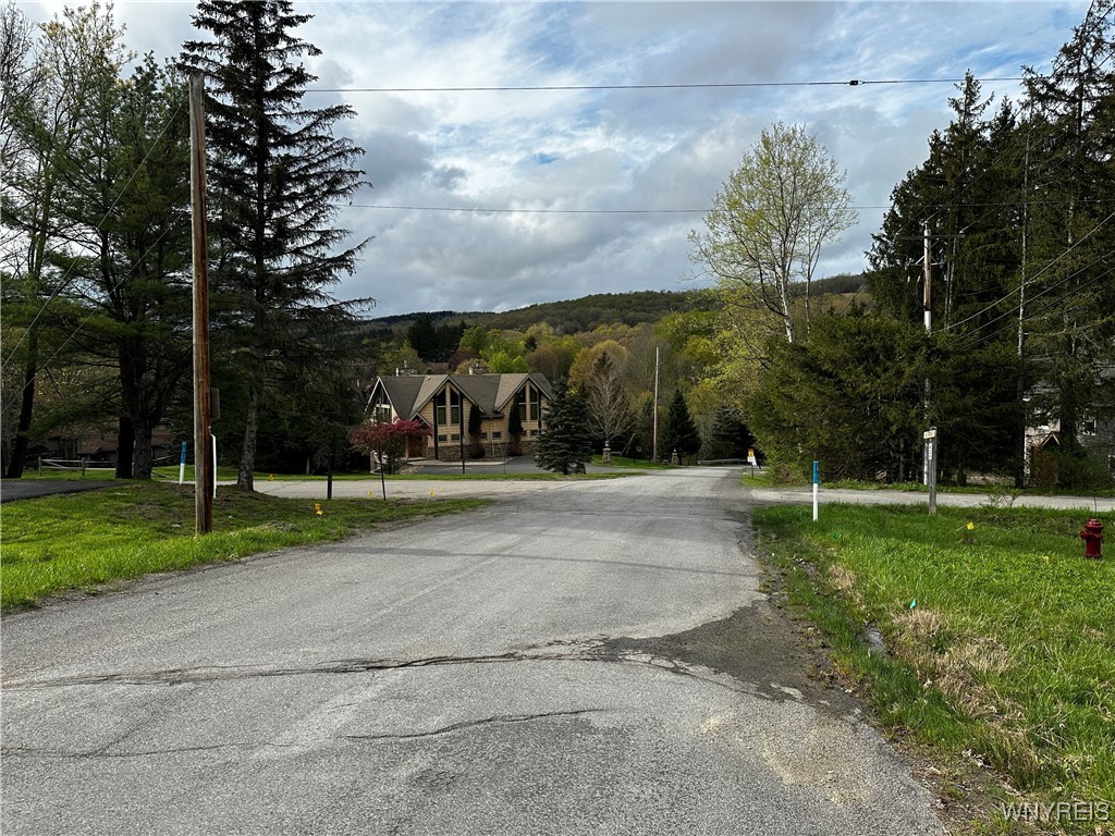 1A Bella Vista Drive, Ellicottville, New York image 24