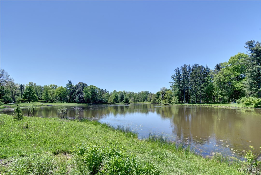 26 Meadow Road, Orchard Park, New York image 38