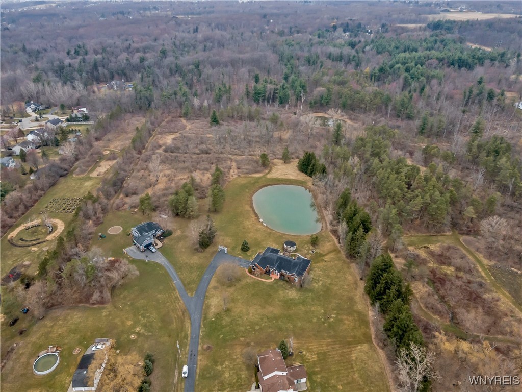 5246 Armor Duells Road, Orchard Park, New York image 49