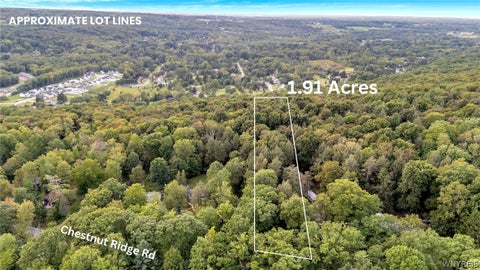 Vacant Land For Sale - VL Chestnut Ridge Road<br/> Boston, NY 14127