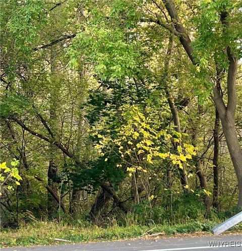 Vacant Land For Sale - 3568 W Lake Road<br/> Wilson, NY 14172