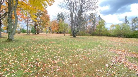 Tiny photo for 102 Grove Street, Evans, NY 14006 (MLS # B1648482)