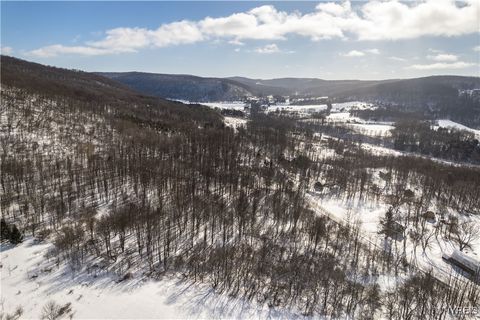 V/L Kent Road Little Valley NY 14755