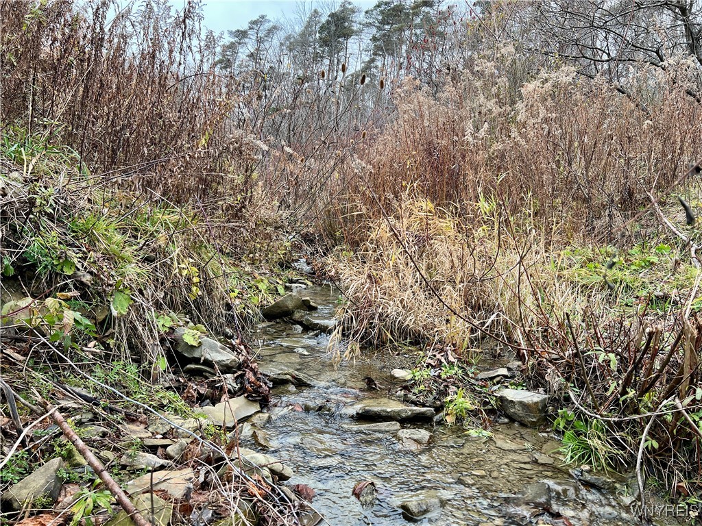 Quaint creek flows through the property