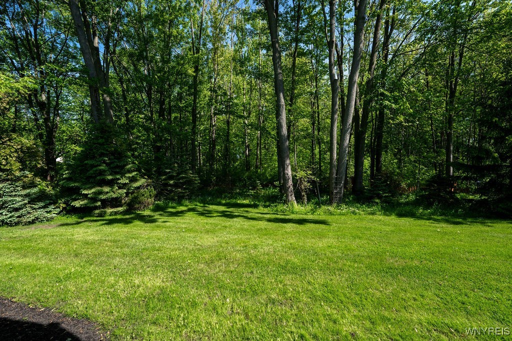 167 Chestnut Street, Wilson, New York image 29
