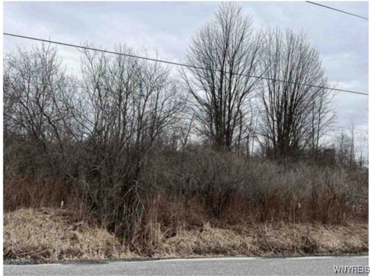 Tonawanda Crk Road, Clarence, New York image 1