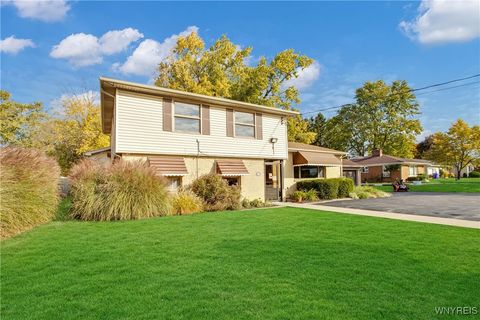 MLS: B1594929