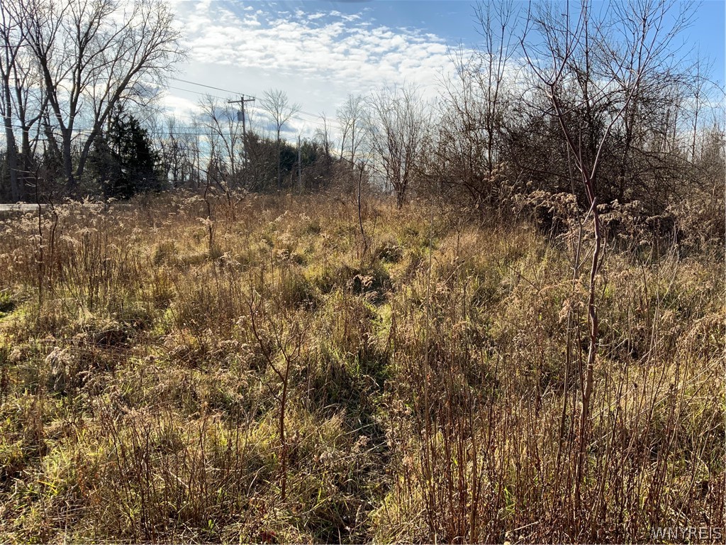 N. Gravel