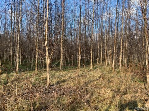 Photo of N. Gravel, Ridgeway, NY 14103 (MLS # B1679265)