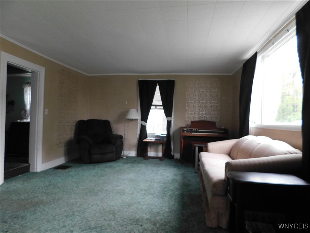 11141 W Park Street, Pavilion, New York image 11