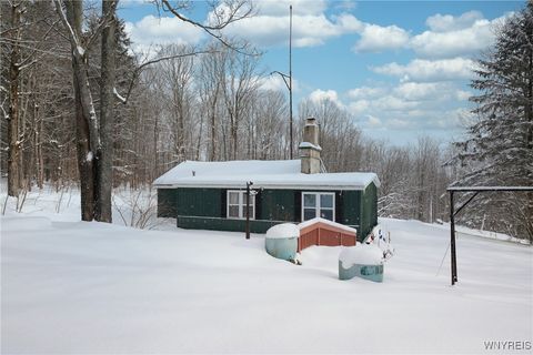 Homes For Sale - 7730 Irish Hill Road<br/> Cattaraugus County, Ellicottville, NY 14171