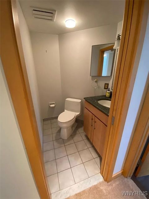 Tiny photo for 84 Ojibwa Circle #16, Buffalo, NY 14202 (MLS # B1660551)