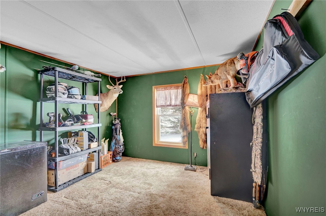 4885 Felton Hill Road, Machias, New York image 18