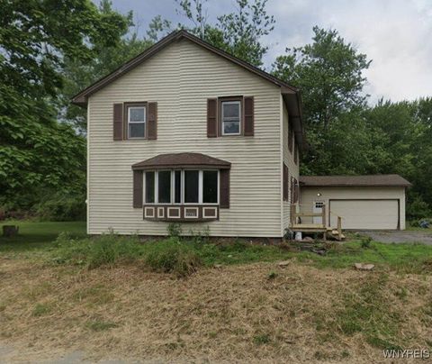 Photo of 4631 S Park Avenue, Hamburg, NY 14075 (MLS # B1655556)