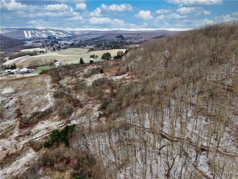 6096 NYS Rte 242 Lot #1 Ellicottville NY 14731