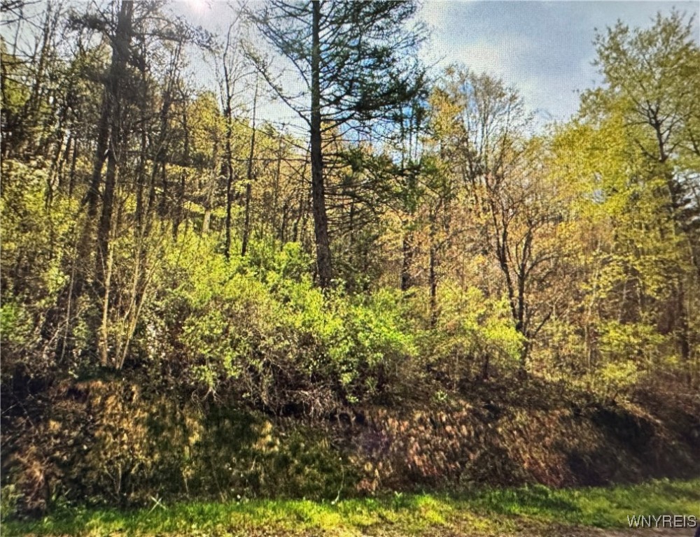 Skyline Drive, Machias, New York image 1
