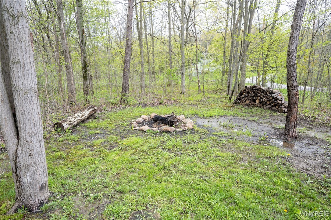 11686 Parkwood Drive, Alden, New York image 38