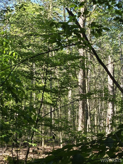 Vacant Land For Sale - New York 96<br/> Waterloo, NY 13165