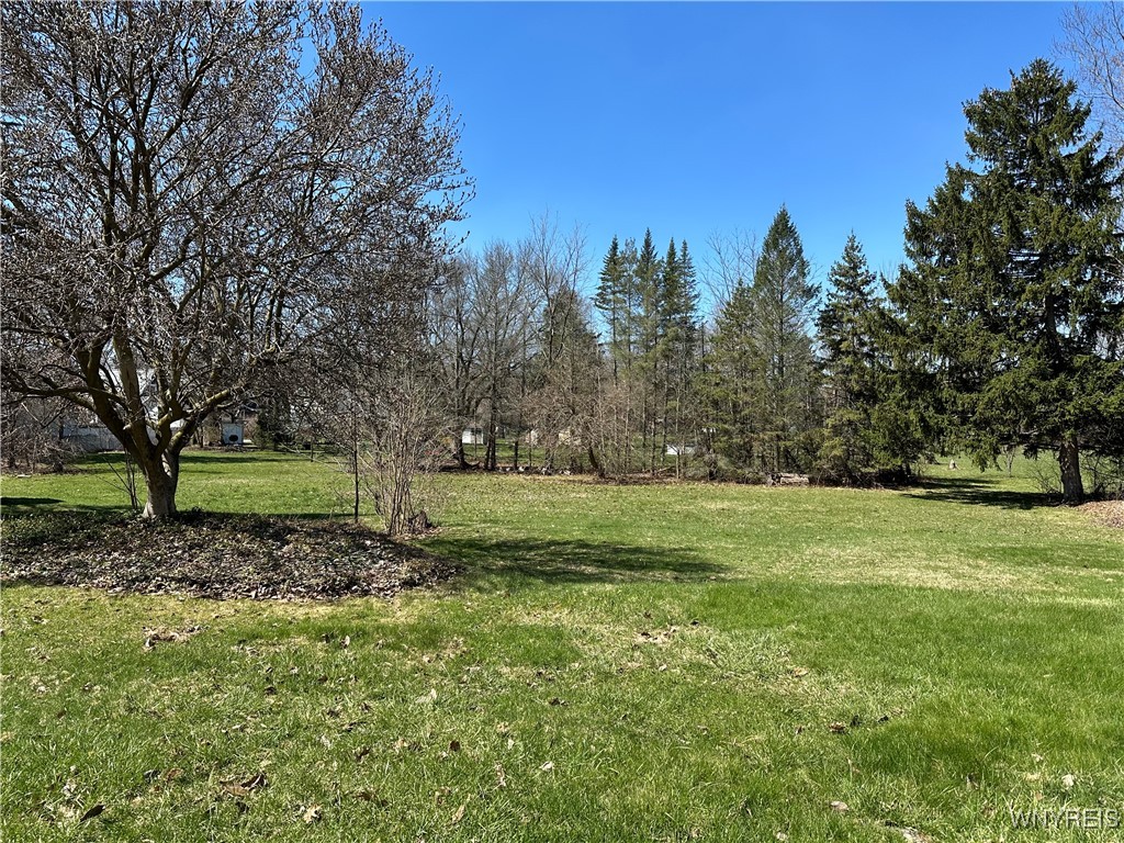 382 Pleasant Avenue, Hamburg, New York image 49