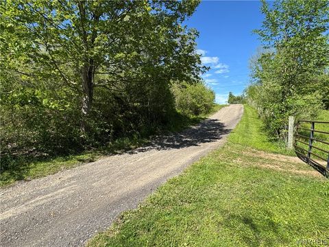 Tiny photo for 10900 Route 39, Sardinia, NY 14055 (MLS # B1685257)