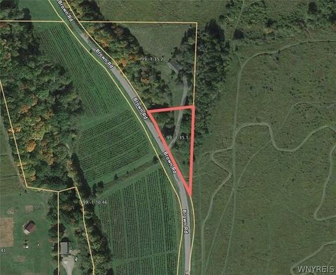 Vacant Land For Sale - Brown<br/> Allegany County, Almond, NY 14804