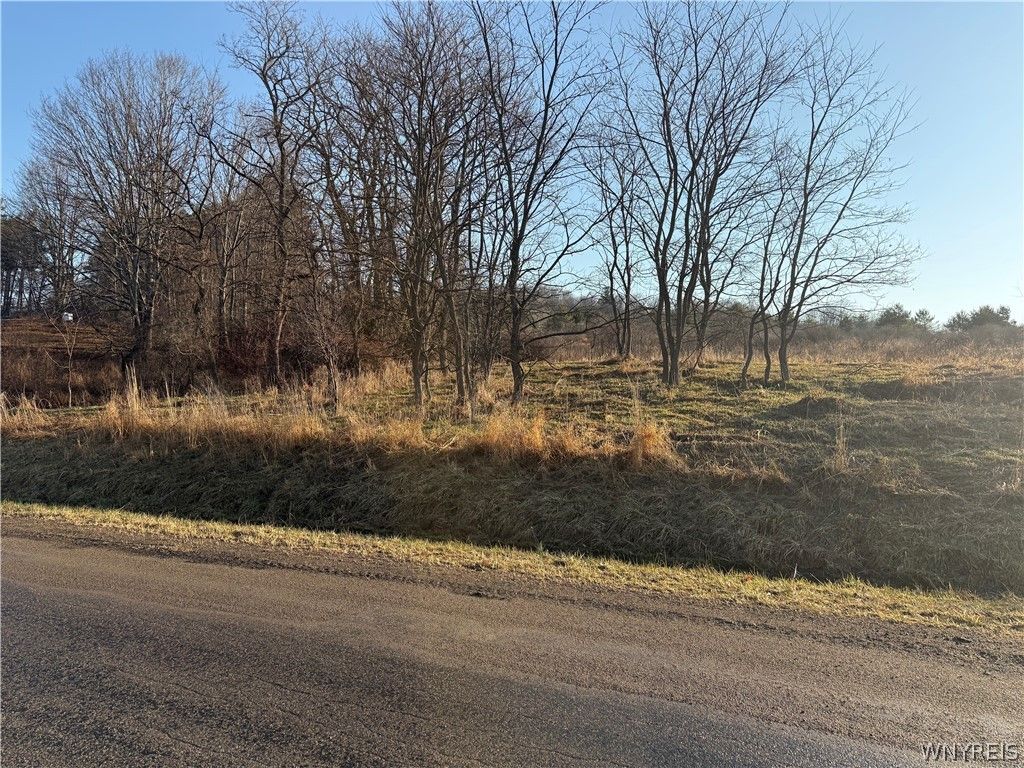 Photo of 0 Brown, Almond, NY 14804 (MLS # B1669162)