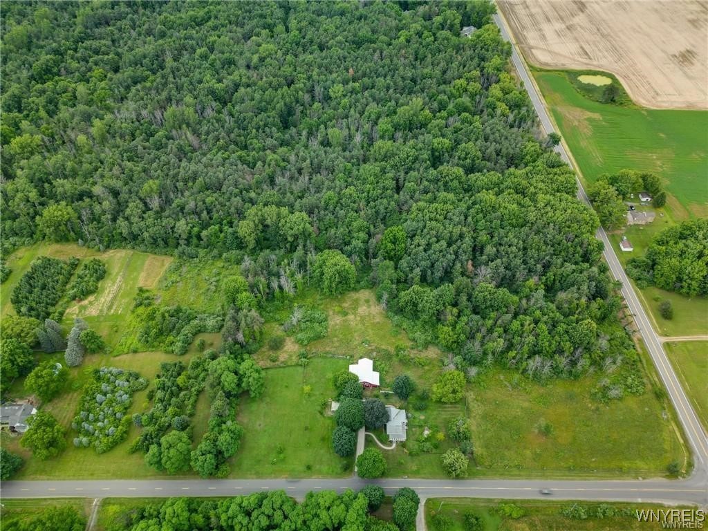 Somerset, New York 14012, United States, ,Land,Pending,22674