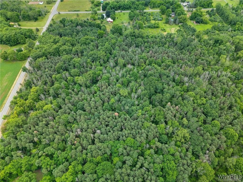 Somerset, New York 14012, United States, ,Land,Pending,22674