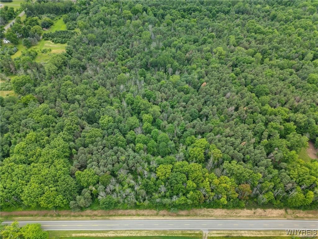 Somerset, New York 14012, United States, ,Land,Pending,22674