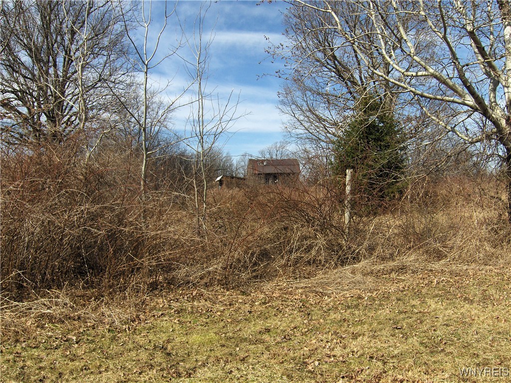 5509 Barber Hill Road, Groveland, New York image 9