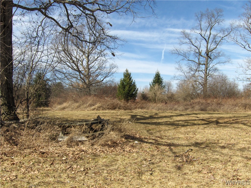 5509 Barber Hill Road, Groveland, New York image 7