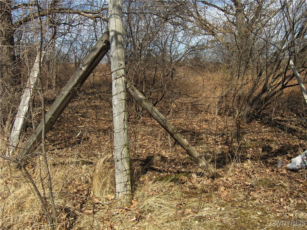 5509 Barber Hill Road, Groveland, New York image 14