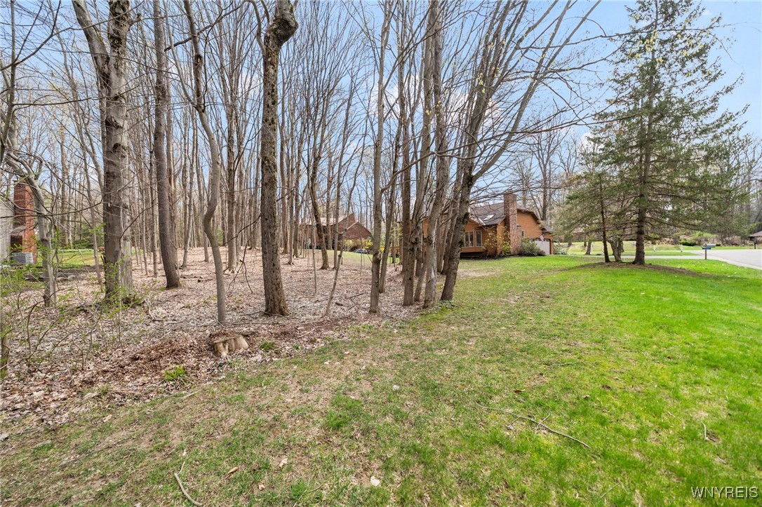 108 Middlebury Road, Orchard Park, New York image 44