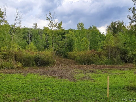 Vacant Land For Sale - 9970 Tonawanda Crk Rd N Rd<br/> Clarence, NY 14031