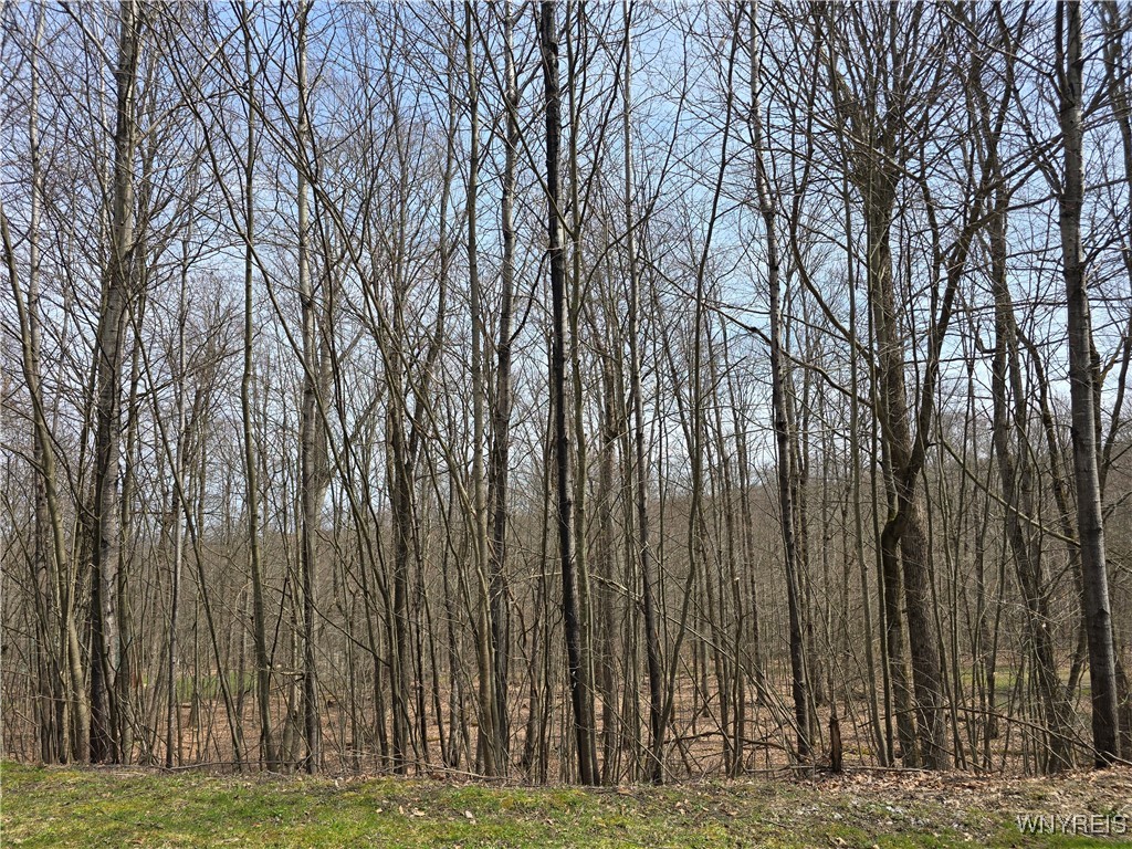 13 Spring Brook Road, Friendship, New York image 35