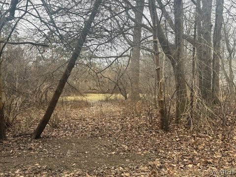 Photo of VL James Place, Orchard Park, NY 14127 (MLS # B1655905)