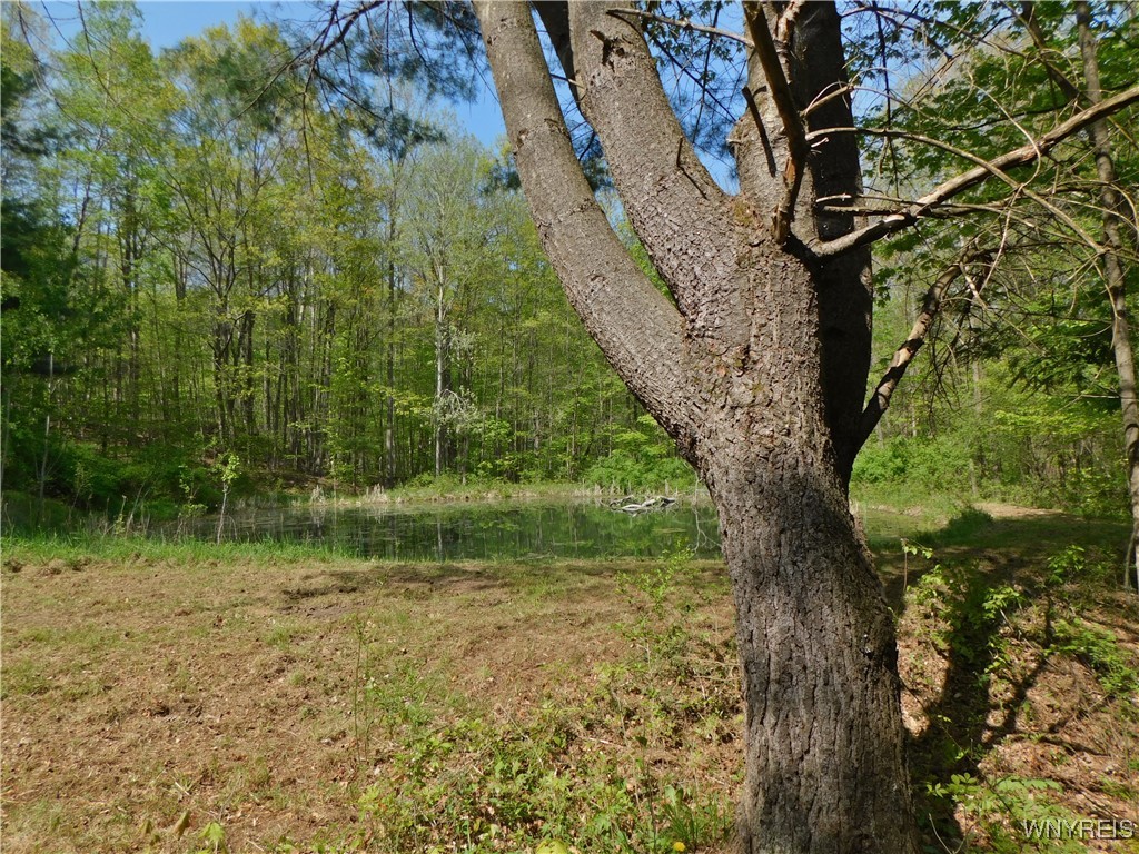 9152 Lyman Road #22, Clarksville, New York image 9
