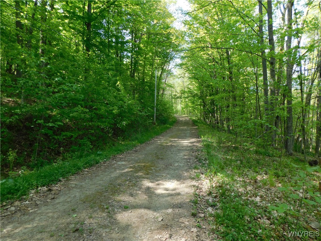 9152 Lyman Road #22, Clarksville, New York image 18