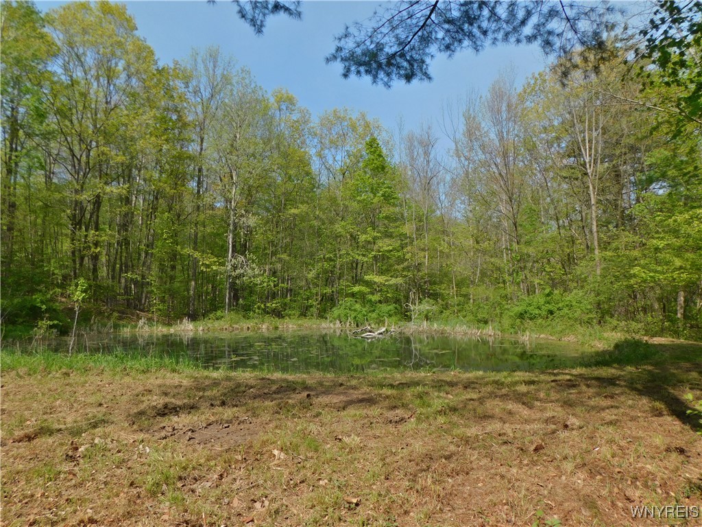 9152 Lyman Road #22, Clarksville, New York image 5